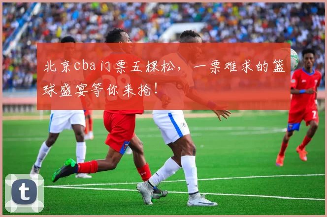 北京cba门票五棵松，一票难求的篮球盛宴等你来抢！