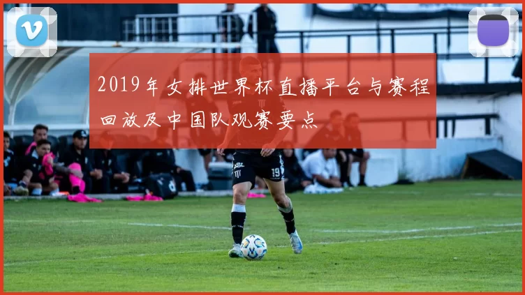 2019年女排世界杯直播平台与赛程回放及中国队观赛要点