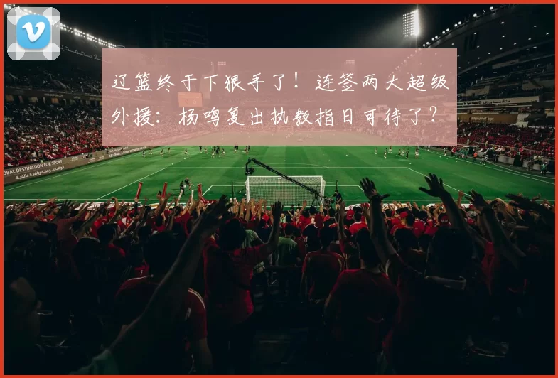 辽篮终于下狠手了！连签两大超级外援：杨鸣复出执教指日可待了？