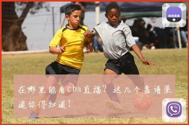 在哪里能看cba直播？这几个靠谱渠道你得知道！