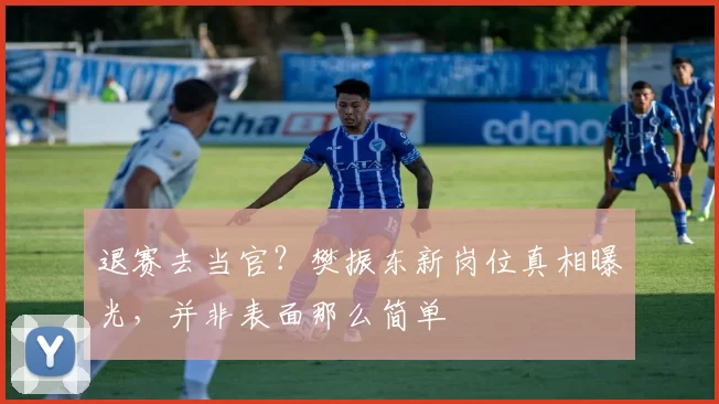 退赛去当官？樊振东新岗位真相曝光，并非表面那么简单