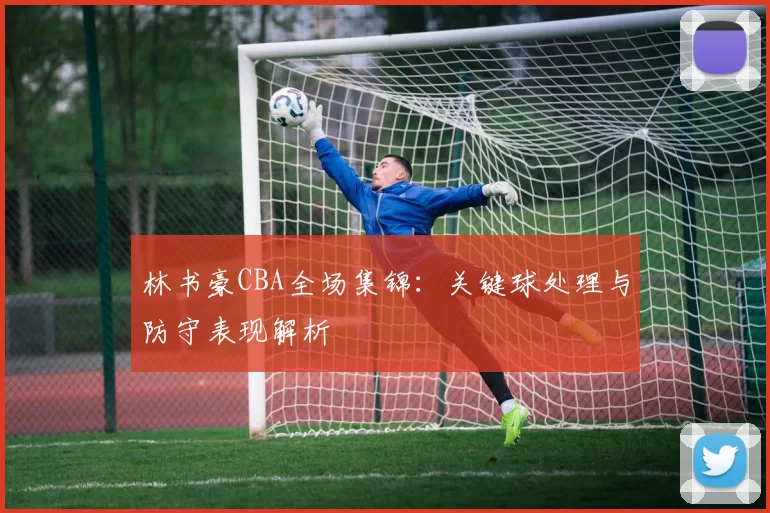 林书豪CBA全场集锦：关键球处理与防守表现解析