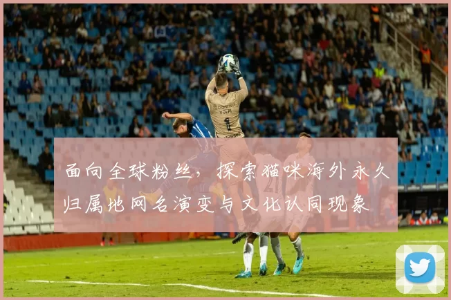 面向全球粉丝，探索猫咪海外永久归属地网名演变与文化认同现象