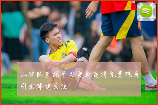 山猫队直播平台更新高清免费观看引发球迷关注