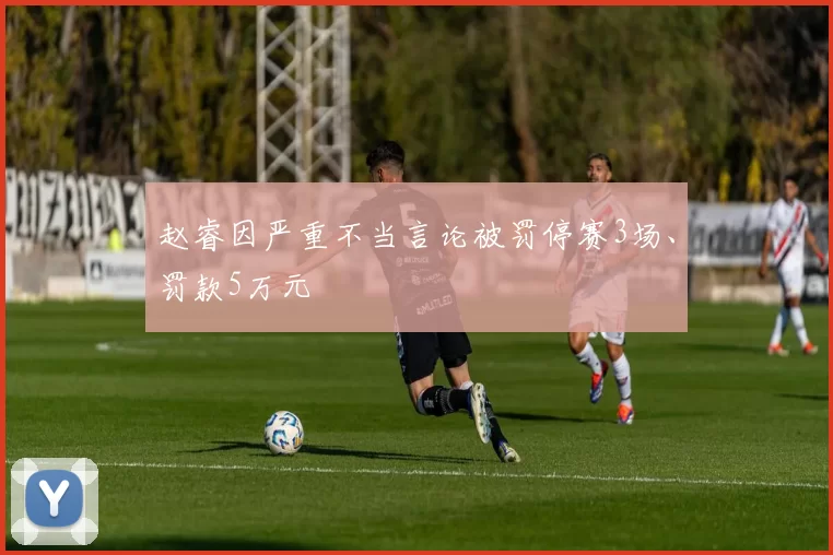 赵睿因严重不当言论被罚停赛3场、罚款5万元