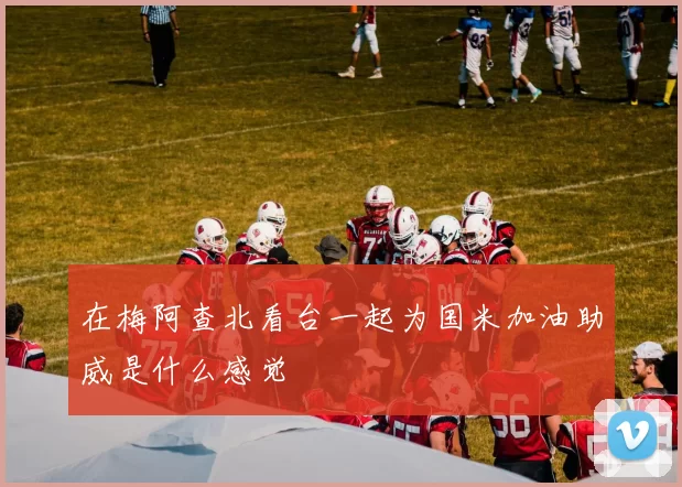 在梅阿查北看台一起为国米加油助威是什么感觉