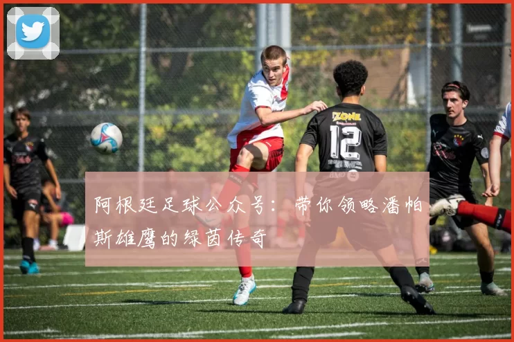 阿根廷足球公众号：带你领略潘帕斯雄鹰的绿茵传奇