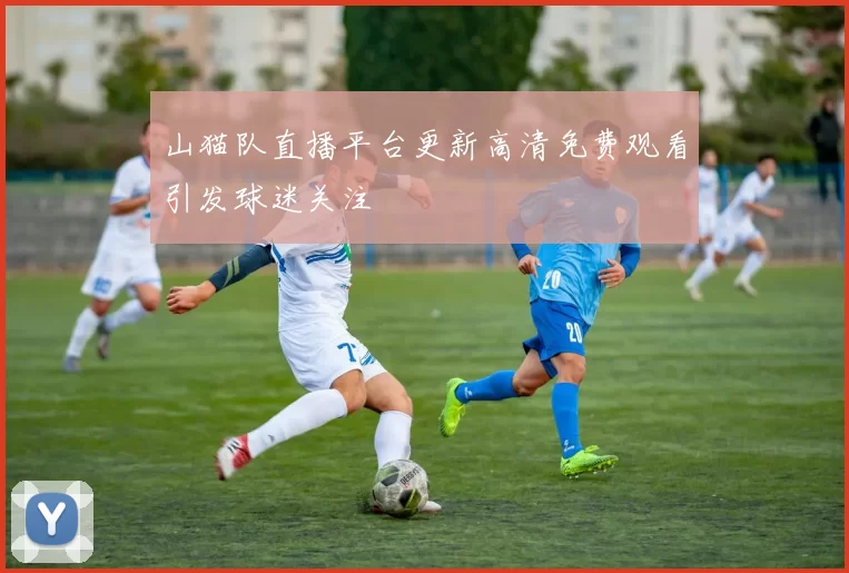 山猫队直播平台更新高清免费观看引发球迷关注