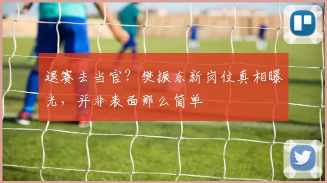 退赛去当官？樊振东新岗位真相曝光，并非表面那么简单