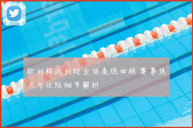 欧洲杯比利时全场表现回顾 赛事焦点与攻防细节解析