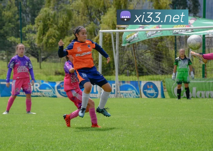 开云(Kaiyun) - 中国官方服务平台品牌故事